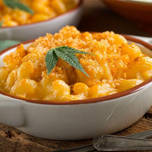 Molho de Macarrão com Cheddar